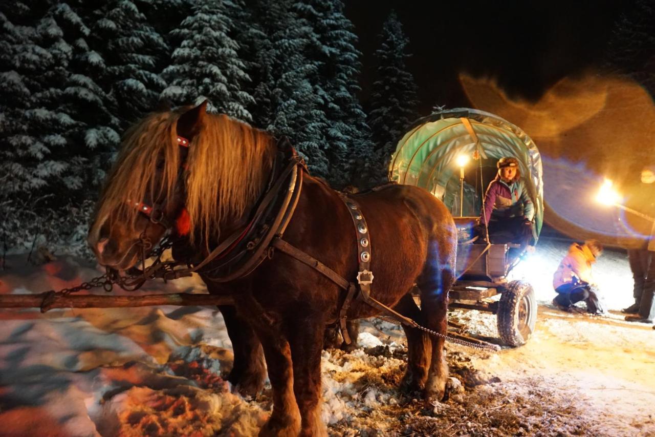 Chata Nad Roztokami Baligród Exteriör bild