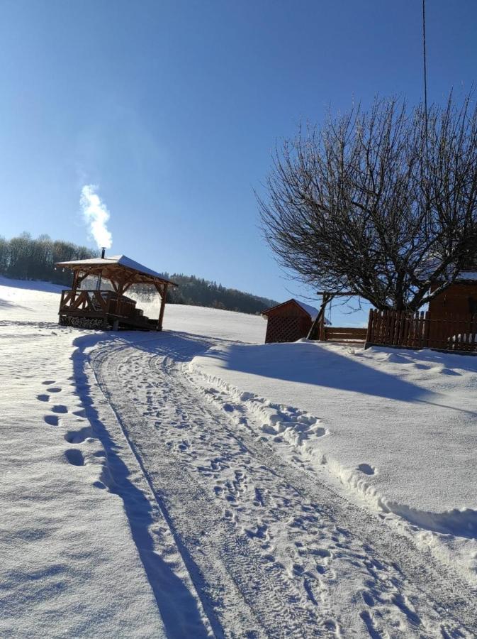Chata Nad Roztokami Baligród Exteriör bild